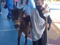 Tu granja en el pesebre del @colegiosaltoangel el 16 de diciembre del 2022 solo tu granja lo lleva dónde estés ....