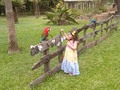 Tu granja en la sesión de fotos de la hija de mi amigo #francis sendas el 11 de febrero del 2023 en el jardín @jardinbaobab