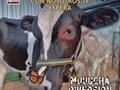 👨🏻‍🌾Qué tal si granjeamos juntos y vives momentos únicos junto a tu familia?   Disfruta de nuestros animalitos de Tu Granja 🐴🦚🐭🐏🐍🐢🐄🐦🐷🐥🐮🐐🐰🦆🐔  ☎️𝙋𝙖𝙧𝙖 𝙘𝙤𝙣𝙩𝙧𝙖𝙩𝙖𝙘𝙞𝙤𝙣𝙚𝙨  04146368255 - 04127753114  #tugranja #granjamovil #maracaibo #animalesfantás #fiestasinfantiles #eventoscorporativos #cumpleaños