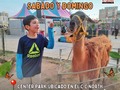 👨🏻‍🌾 Amiguit@s granjer@s  muuu🐮uuyyyy buenas tardes!!  Los esperamos este sábado y domingo en el Center Park ubicado en el CC. North Center   Ven y vive experiencias inolvidables con todos nuestros animalitos de Granja. No te aburrirás😋  #granjamovil #animales #vacas #caballos #diversión #fiestasinfantiles #eventos #maravaibo