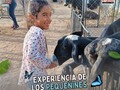 👨🏻‍🌾Visitanos este sábado y domingo en center Park   ⏰ En el horario de 5:00pm hasta las 10:00pm.   Deja que tus niños vivas esta experiencia con Tu Granja. Haz que su fin de semana esté lleno de emoción y felicidad.🎉  Te esperamos! 📢❤️