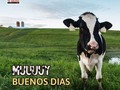 Muu🐮uuuy buenos días amiguitos granjeros!!  Tu Granja les desea un excelente día☀️. Recuerden que estamos disponibles para cualquier evento y fiestas infantiles🎈🎉🎊.  ☎️ 𝙋𝙖𝙧𝙖 𝙘𝙤𝙣𝙩𝙧𝙖𝙩𝙖𝙘𝙞𝙤𝙣𝙚𝙨:  04146368255 - 04127753114  #granjamovil #fiestainfantiles #cumpleaños #animalesfantás