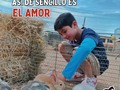 Con Tu Granja podrás experimentar los mejores sentimientos y podrás transmitirselos a nuestros animalitos🐭🐰🐮🐷🐗🐸🐍🐓🦜🐥🦆🦚🦃.  Siente el amor y la tranquilidad junto a ellos. No te juzgarán y te haran sentir seguro y feliz❤️🥹  #tugranjamovil #tugranjaentucumpleaños #animales #felicidad #experienciaanimal