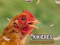 Hola amiguitos granjeros! 👩🏻‍🌾  🐔Kikikikieres conocernos?  Somos aves increiblemente extraordinarias algunas saltamos otras volamos y otras caminamos🦚🪿🕊️🐓   ¿Te gustaría que Tú Granja movil este contigo en tu cumpleaños? 🎉🎁  ⬇️⬇️⬇️⬇️⬇️⬇️⬇️⬇️⬇️  ☎️ 𝙋𝙖𝙧𝙖 𝙘𝙤𝙣𝙩𝙧𝙖𝙩𝙖𝙘𝙞𝙤𝙣𝙚𝙨:  04146368255 - 04127753114