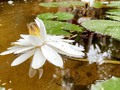 La naturaleza es nuestra principal fuente de inspiración 🌿