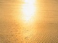 Gracias por ayudarnos a escribir esta historia tan increíble llamada relicario, sin duda el 2023 construiremos nuevos y emocionantes capítulos .  Deseamos que todos tus proyectos, sueños y metas se hagan realidad y que tengas un año nuevo cargado de amor, luz, paz y prosperidad. @relicariokidds @relicario.co . • Thank you for helping us write this incredible story called Relicario, without a doubt in 2023 we will build new and exciting chapters. We wish that all your projects, dreams and goals come true and that you have a new year full of love, light, peace and prosperity. #happynewyear