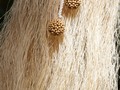 ••• Throughout the Amazon Basin, the cumare palm grows, and its fiber is woven knot by knot by the hands of Tikuna indigenous artisans. 🌿 ••• A lo largo de la Cuenca Amazónica crece la palma de cumare, su fibra, es tejida nudo tras nudo por las manos de artesanos indígenas Tikuna 🌴