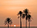 Relax and embrace the serene sunrise over the Egyptian desert•••  . .  Relájate y disfruta del sereno amanecer sobre el desierto de Egipto
