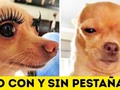 😂😂😂YO! 😂😂😂 Info y precios por inbox 📩📨📥📤💌 Recuerda que todos nuestros productos son 💯 originales No manejamos réplicas 🚫 Mandamos a importar todos nuestros productos 🌍 Hacemos domicilios contraentrega en Medellín 🏍🏍 Envios nacionales 📦📬📮 #makeup #maquillaje #maquillajeoriginalimportado #mujeres #laurelesmedellin #belen #belloantioquia #elpoblado #envigado #sabaneta #itagui #laestrella #caldas #antioquia #maquillajecolombia #bogota #cali #cartagena #santander #pasto #tolima #villavicencio #santamarta #barranquilla #bucaramanga #maquillajemedellin #manizales #medellin #maquillajeoriginalimportado