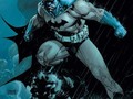 Absolute Batman: Hush (New Printing)