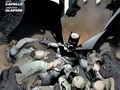 BATMAN #1