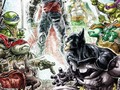 The Caped Crusader and the Heroes in a Half Shell…