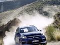 GL 350 CDI BLUETEC. Fuel consumption combined: 8.0-7.4 l/100 km, CO2 emissions combined: 209-192 (g/km). The data do not relate to an individual vehicle and do not form part of the offer; they are provided solely for the purposes of comparison between different types of vehicles. The figures are provided in accordance with the German regulation "PKW-EnVKV" and apply to the German market only.