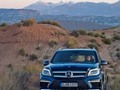 GL 350 CDI BLUETEC. Fuel consumption combined: 8.0-7.4 l/100 km, CO2 emissions combined: 209-192 (g/km). The data do not relate to an individual vehicle and do not form part of the offer; they are provided solely for the purposes of comparison between different types of vehicles. The figures are provided in accordance with the German regulation "PKW-EnVKV" and apply to the German market only.