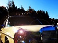 Vintage Mercedes-Benz. Photo by Jörg Maschke #mercedes #mercedesbenz #mbcars #vintage #photography #picoftheday #photooftheday #thebestornothing #car #cars #love