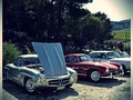 Some impressions of the Mercedes-Benz & Friends Stella Appassionata. #mercedes #mercedesbenz #stellaappassionata #italy #sicily #instagram #instamood #targaflorio #mbcars #thebestornothing #cars #car #picoftheday #love #vintage
