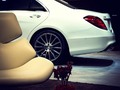The new s-class. Lounge feeling!!! By @marioroman_pictures #mercedes #benz #sclass #rwd #lounge #rearseat
