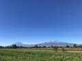 “Había una vez, una princesa tlaxcalteca llamada Iztaccíhuatl que quedó flechada por el apuesto y guerrero de su pueblo, Popocatépetl, y a éste le pasó lo mismo. Eran tiempos de guerra entre tlaxcaltecas y aztecas, pero antes de partir a la batalla, Popocatépetl se puso listo y pidió la mano de esa bella doncella, el padre se la concedió con la condición de que regresara de la guerra sano y salvo para que se pudiera casar con su hija.  Llevaron a cabo lo acordado, mientras la princesa Iztaccíhuatl esperaba impaciente a su amado. Sin embargo, sucedió que un rival de Popocatépetl que también estaba enamorado de la joven, engaño a Izta diciéndole que Popo había muerto en la guerra. Ante tal noticia, fue tanto el dolor de Izta, que se dice murió de tristeza.  Cual va siendo la sorpresa que poco tiempo después regresó Popocatépetl victorioso de aquél combate, feliz porque se iba a casar, cuando le dieron la fatal noticia de que su prometida había muerto. Popo lo único que quería era honrar el amor que ambos se tenían y lo que se le ocurrió fue crear una enorme montaña para erigir la tumba de Izta bajo el Sol. Colocó el cuerpo de su amada en la cima de la montaña y él de rodillas velaba su sueño eterno con una antorcha en mano.  Con el tiempo la nieve cubrió ambos cuerpos hasta que se formaron dos montañas una junto a la otra. Se dice que cuando el Popocatépetl se acuerda de su princesa Iztaccíhuatl, tiembla y su antorcha vuelve a encenderse, por eso, este volcán aún sigue arrojando fumarolas de humo.”  🗻🥹💜   #mexico #popocatepetl #iztaccihuatl #memories #leyendas