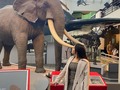 Natural History Museum.  Una experiencia inolvidable…