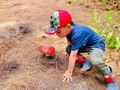 Ir a la montaña es una experiencia muy enriquecedora, es conectar con la naturaleza y tus raíces, es respirar aire puro, es darte cuenta de el flujo de la vida  🌿💚la conexión con la madre tierra las playas, el agua, el sol las fuentes de vida 🦋
