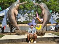🐬🐟