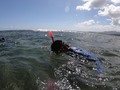 Playa y aventura!! Snorkeling Kayak tour $25.pp Domingo familiar!  #adventureandwatersports #snorkelingkayaktour Info. 787-710-4297