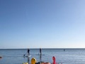 El bajo de Patillas está de moda! ADVENTURE PATILLAS  Playa apta para bañistas bandera verde 🇲🇴 #playaaptaparabañistasbanderaverde Encuentras de todo para todos en un mismo lugar!  VISITANOS!  encuentras de todo en un mismo lugar. *Playa, deportes acuá, kioscos, música, estacionamiento, gacebos, baños, duchas, aventura, diversión, comida, mariscos, frituras, área de juego para niños todo en un ambiente familiar y Seguro.  VISIT US!  you find everything in one place‼ ️ * Beach, water sports, kiosks, music, parking, gacebos, toilets, showers, adventure, fun, foods, playground for children all in a familiar and safe environment. Info. 787-710-4297 * * * * * #Elbajodepatillasestademoda #Elbajo #Playaescondida #BalneariodePatillas #Playavillapesquera #malecon00723 #Patillas #PatillasPuertoRico #Puertorico #sea #sureste #marcaribe #caribbean #Paradise #beach #Hiddenbeach #playaaptaparabañistasbanderaverde #chinovillapesquera #sup #flamenco #duck #100x35