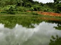 🎌 Buenos dias 🇻🇪 🌄Vendemos hermosa finca lista para producir🚜 📌consta de 500 hectareas de terreno, expandibles a 1500 hectareas en caso de que planteen un buen negocio, clima fresco, cuenta con agua durante todo el año, 3 manantiales, 6 lagunas, buena casa.... Comenzamos con un precio de 46.000.000 bsf recibo vehiculos nuevos para facilitar la negociacion ubicada en san felipe yaracuy... 🐴🐮🐃🐐 Info: 04248735687