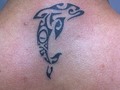 Mi primer Tattoo Con uno de los mejores @gabrielamadortattoo y su compañero @haderotagri muy contentó muchísimas gracias 👍 (recomendadicimo) #tattoo #pieltatuada #artisttattoo #barranquilla #delfyn #delphytattoo #lovedelfin #colombia @pieltatuada
