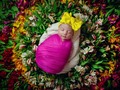 Hace tiempo no hacía flores  💐💐💐💐💐💐💐💐💐💐 Que tal?