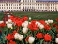 Schloss Schönbrunn  #analog #ishootfilm #filmphotography #meinfilmlab #mediumformat #hasselblad