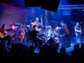 Akkordeonfestival 2023: Orchestre Raï Viennois im Metropol 📸 @nico