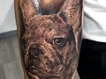 Amo tatuar mascotas captar todos los detalles que los clientes sientan que de verdad vale la pena tatuarse algo tan significativo #tattoo #tatuaje #realismotattoo