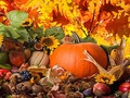 New artwork for sale! - "Fall Harvest" - fineartamerica