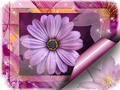 New artwork for sale! - "Artistic Lilac" - fineartamerica