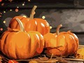 New artwork for sale! - "Pumpkin Feast" - fineartamerica