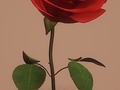 New artwork for sale! - "Red Rose" - fineartamerica