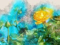 New artwork for sale! - "Yellow Rose" - fineartamerica