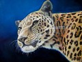 New artwork for sale! - "Hello Jaguar" - fineartamerica
