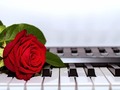 New artwork for sale! - "Keyboard Rose" - fineartamerica