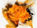 New artwork for sale! - "Golden Rose" - fineartamerica