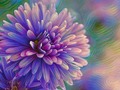 New artwork for sale! - "Lilac Purple Perfection" - fineartamerica