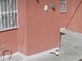 #vciudadanavtv Atención @municipio_de_torreon @policia_torreon Vecinos de la colonia la Dalia reportan a habitantes de la calle Tulipanes entre Madre Selva y Begonia que tienen 3 noches con música y ruido todas las noches. Han intentado reportar incidencias al 911 y no contestan llamadas.  #servicioalacomunidad #torreon #coahuila🌟 #vecinosruidosos😠