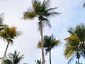 La isla es la isla #margarita #sun