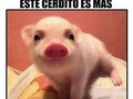 Mas cierto imposible #lol  #asiMismo #feoperopalante