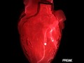 Freak Show Tattoo #heart #red #black #tattoo #dark #like #follow