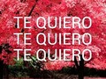 Y esta es una declaración!!!!