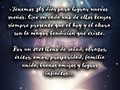 Feliz Año Nuevo -