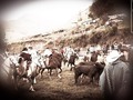 RODEO criollo desde el TINGO  By: XAVI_KLINT   #Chagras #chimborazo #charro #ecuador🇪🇨 #caballo #caballero #rodeo