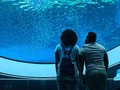 Deep blue, but you painted me golden. ✨ . . . . . #frostscience #viajeros #instatravel #blogdeviajes #mochileros #viajaresvivir #travelblogger #travel #roadtrip #aprenderviajando #tourist #couplegoals #travelling